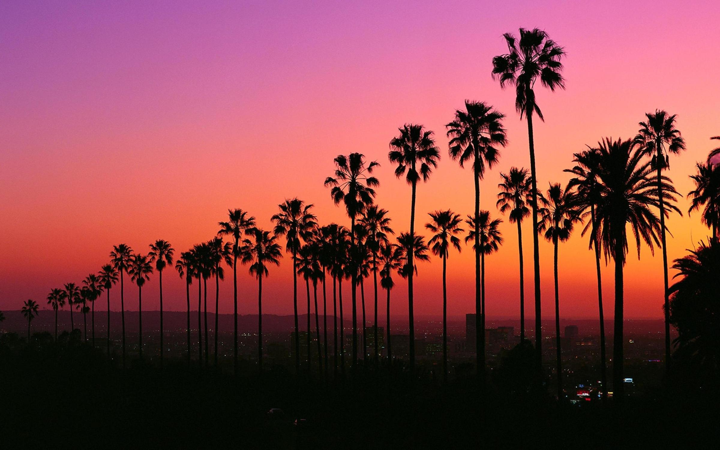 California palms at sunset over the Los Angeles skyline